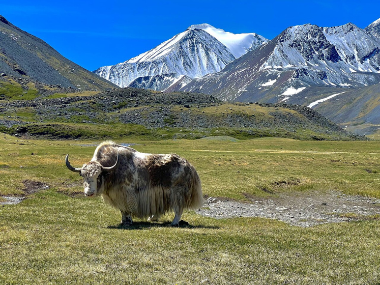Алтай🏔 Давно не были