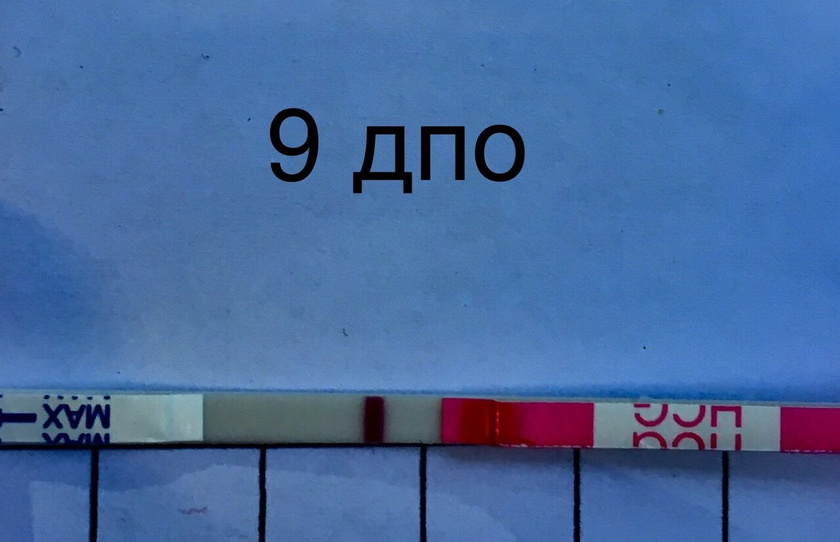 5 дней до м