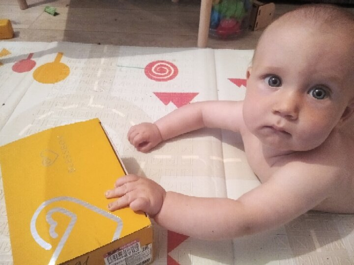 Прятки с игрушкой📦