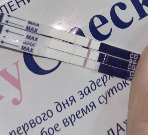 12 дпо
