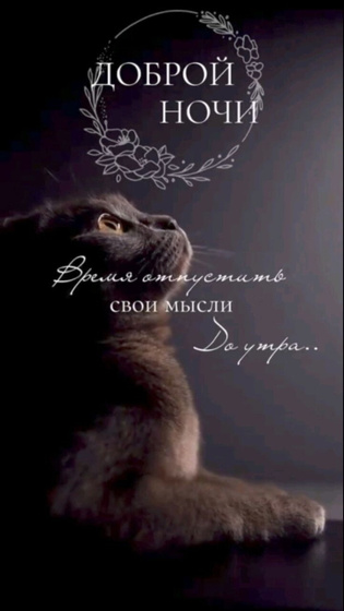 Всем доброй ночи 🌙