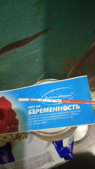 Фотография 2021-08-13 19:44:38