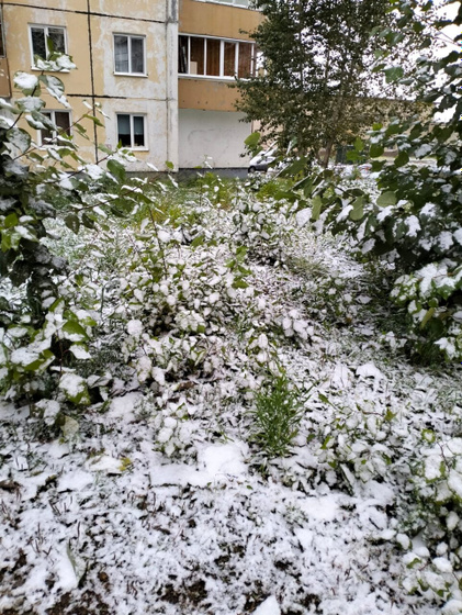 Зима пришла ❄️❄️❄️