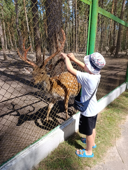 День релакса