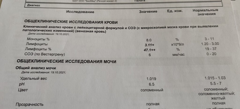 Сдала анализ крови, сейчас