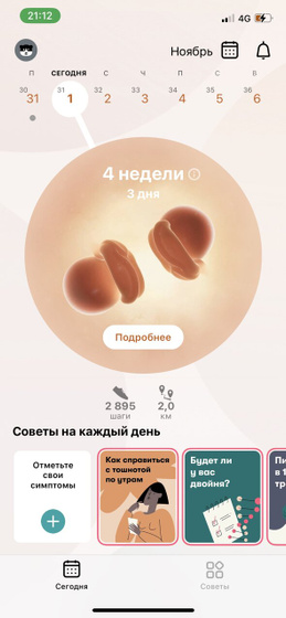 В приложение Flo показано две яйцеклетки