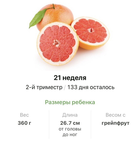 21 неделя .