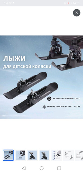 Санки или лыжи