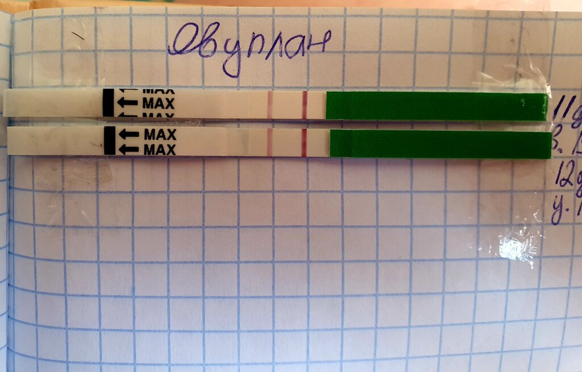 Овуплан,12 дц утро