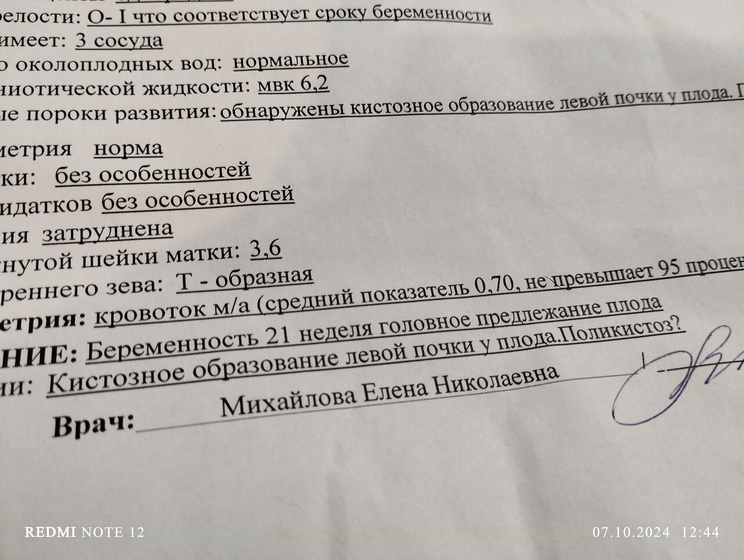 Почки