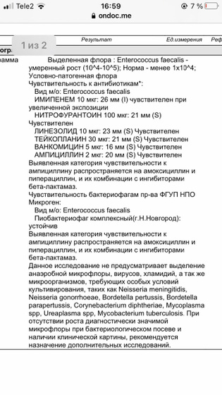 Помогите понять ))) дочкин мазок ))) , пожалуйста!