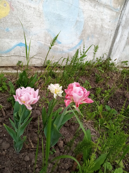 Всем очень рада 💋