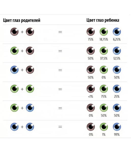 Цвет глаз