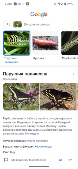 Фото номер два .девочки