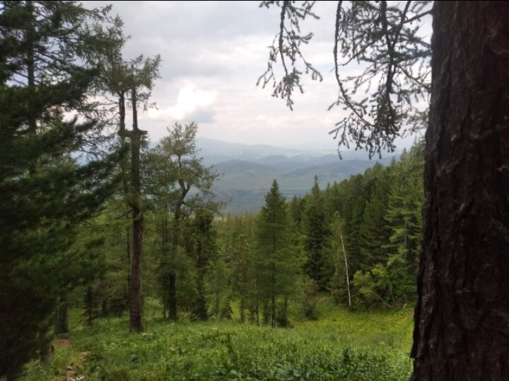 Приехала моя девочка❤️