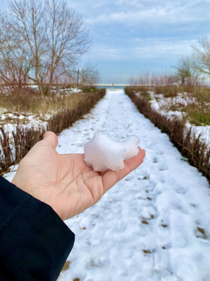 Сегодня я довольна как слон ☺️