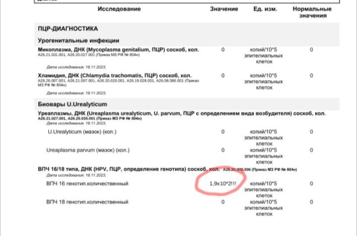 Девочки кто шарит, этот