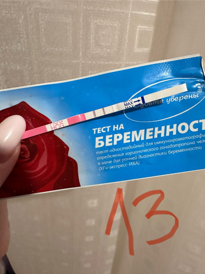 13 ДПП