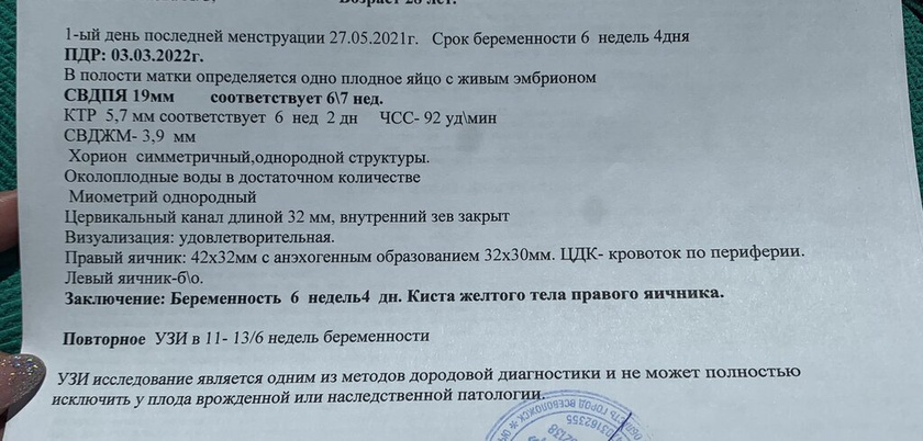 26 дпп узи