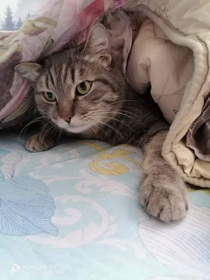 ? ??