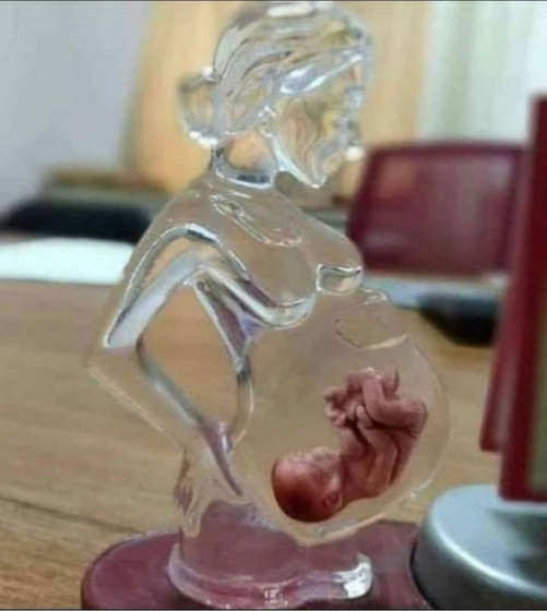 Девочки, помогите найти где