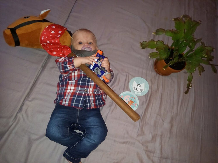 Сегодня Филу год