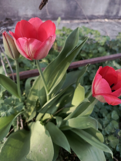 Выходной вайб 🌸😍