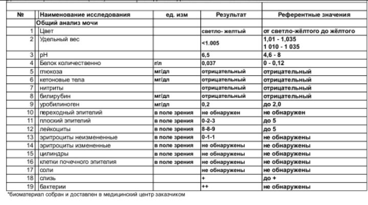 ОАМ бактерии