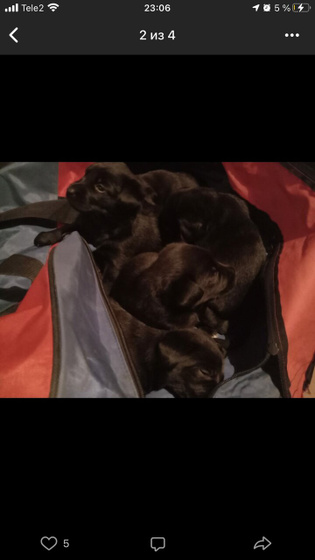 Короче я сошла сума ???