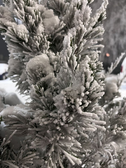 Как красиво 😻 сейчас