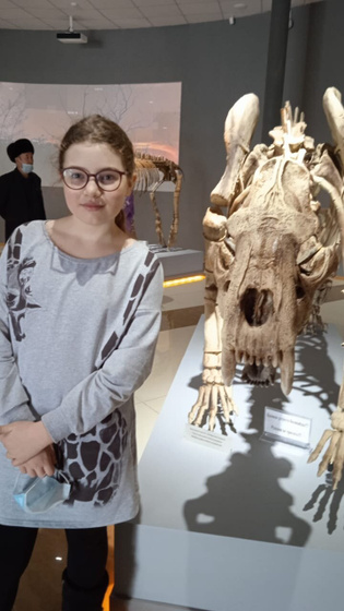 Новый музей
