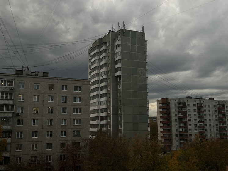 Чем занять себя