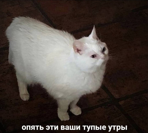 Слезаю с антидепрессантов Очково