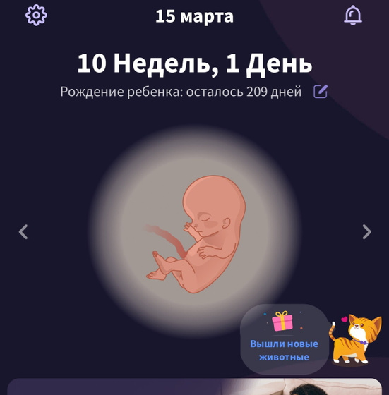 Долгожданная Беременность 🙏вторая