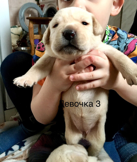 Детки подрастают)