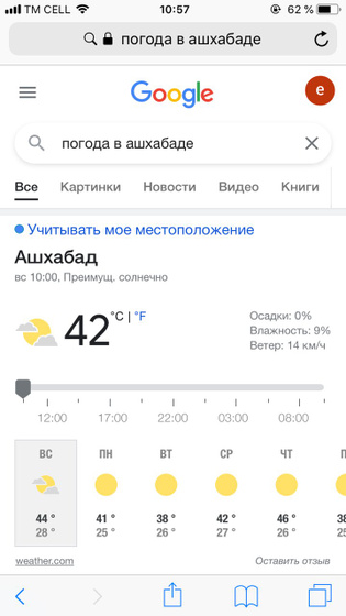 совсем тяжело без прогулок?