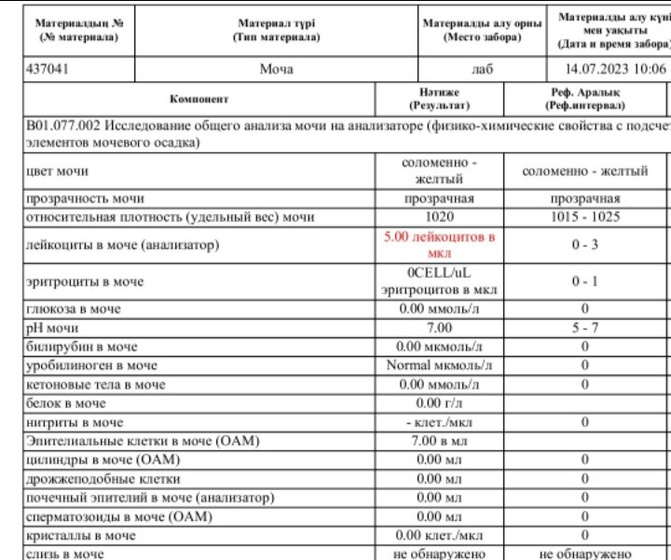 Анализ мочи Повышены лейкоциты