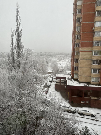 Это у всех так, или я еще не проснулась ?