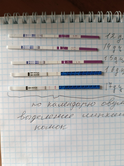 Тесты на овуляцию