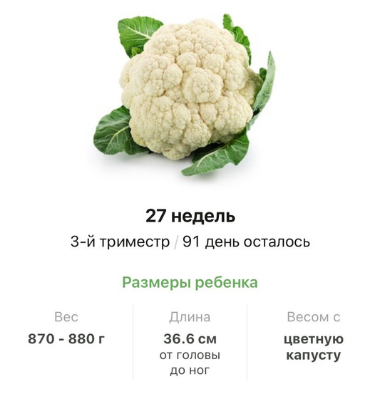27 недель .