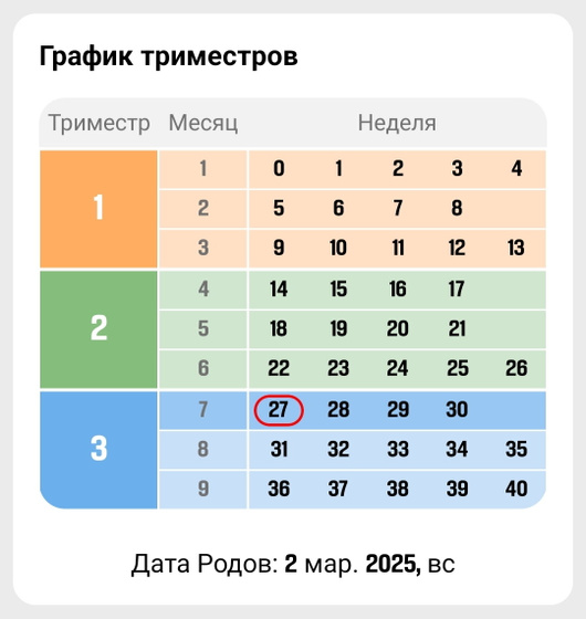 Ну вот и 3 триместр!!! 🥰 27 недель. 🥰