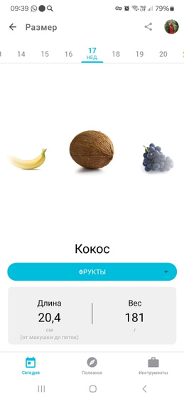 Привет 17 недель