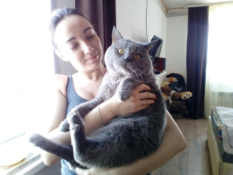 Как прийти в себя после смерти любимого кота?