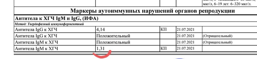 антитела к хгч lg m положительные