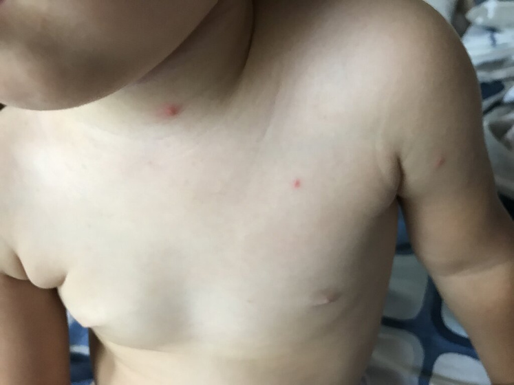 Поехали отдыхать и дня