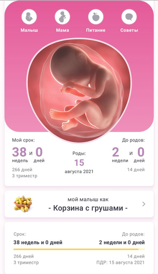 Путь от семечка к