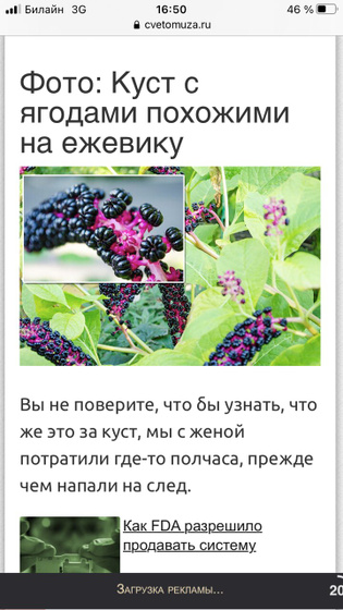Ребёнок съел ядовитую ягоду