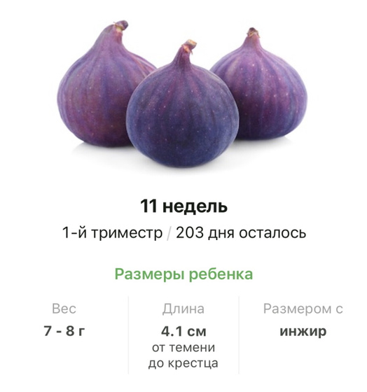 11 недель .