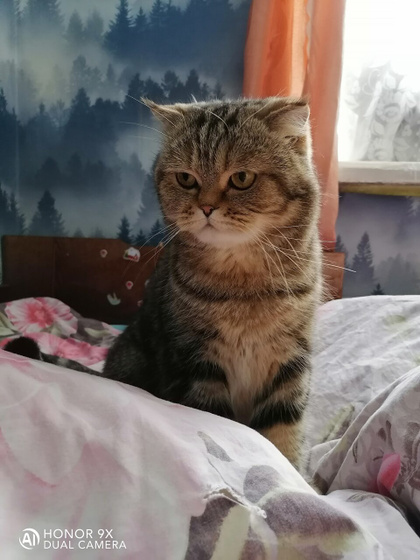 ? ??