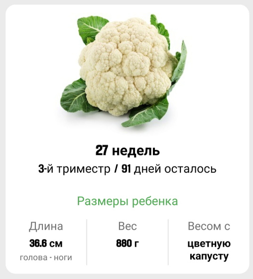 Ну вот и 3 триместр!!! 🥰 27 недель. 🥰